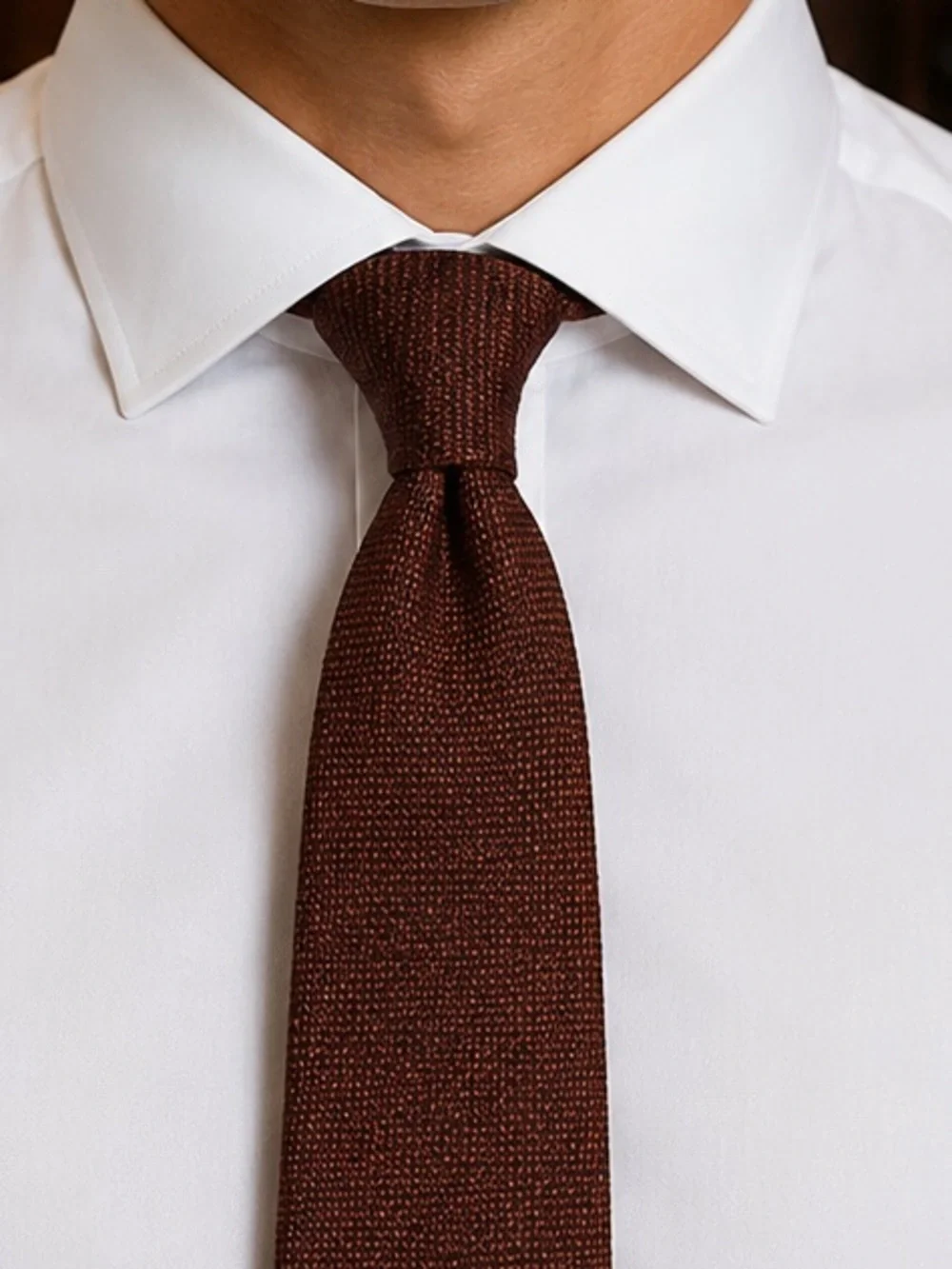 Petronius Textured Silk Tie in Cocoa Brown